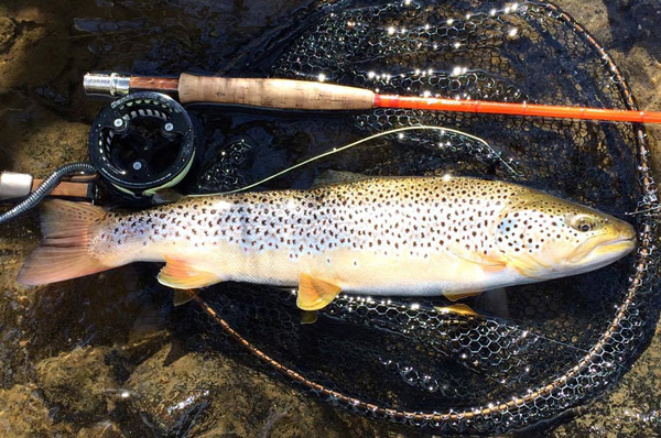 Liam Stephen, fly fishing guiding on the rivers Don and Deveron in Scotland