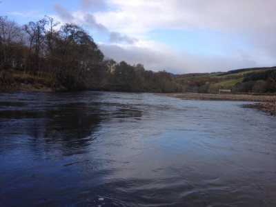 Tummel