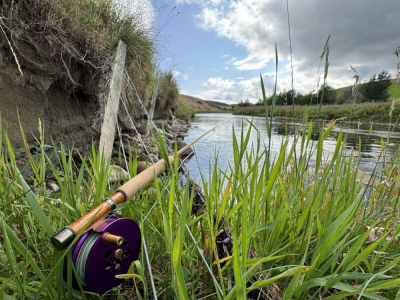 rod and water