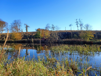 Haddo Revisited Nov 2024