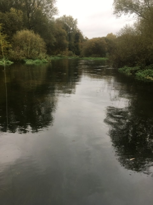 Chalkstreams