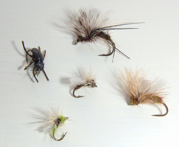 White River Fly Shop 10-Piece Barbless Classic Trout Fly Assortment